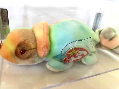 Ty Beanie Baby Rainbow The Chameleon 1997 - RARE TUSH TAG STAMP • $350