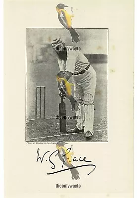 W G Grace Cricketer Book Illustration (Print) 1895 • £15.97