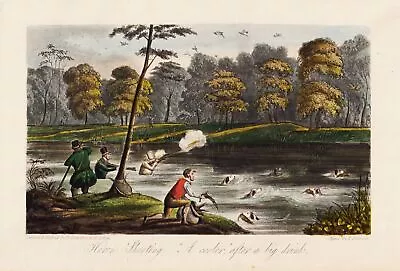 Hunting Bird Hunting Hunter Hunters Dogs Aquatinta Etching H. Alken 1850 • £19.47