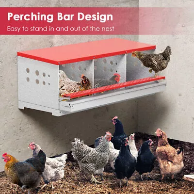 3 Hole Hen Chicken Poultry Nest Box Highest Quality Metal Laying Box Wall Mount • $96.94