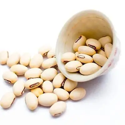 White Kaunch Seeds Mucuna Pruriens Indian Velvet Bean Konch Beej Kapikacchu • $11.69