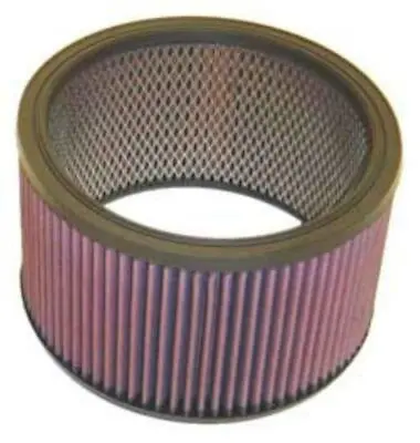 K&N Replacement Air Filter 9  X 5  KNE-3650 • $151.40