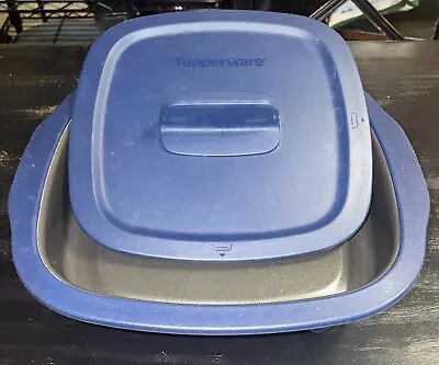 Tupperware MicroPro Series Microwave Grill With Lid-EUC • $49.95