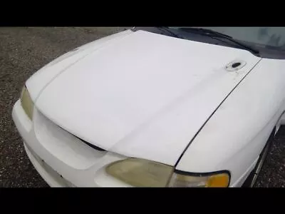 Hood Excluding Cobra Fits 94-98 MUSTANG 585987 • $125