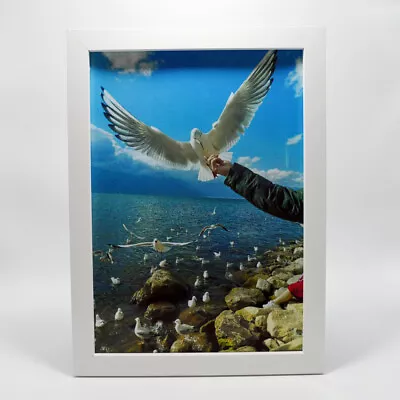 Eye-catching Seagull Beautiful Scenery Art Poster Vintage Wall Decor Painting • $28.04