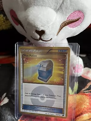 Max Potion 121/116 Secret  Rare Pokemon Card Holo From Plasma Freeze • $25