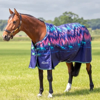 £77.95 • Buy Shires Highlander Original Lite Turnout Rug