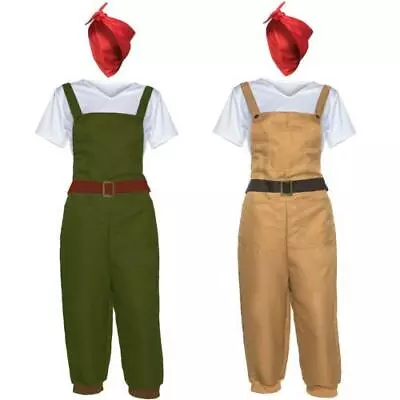 £15.79 • Buy WW2 1940s Land Girl Womens Army World War 2 Fancy Dress Costume Dig For Victory