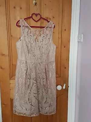 £15.99 • Buy Monsoon Hand Embellished Dress Size 18 Bnwt