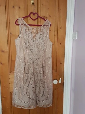£15.99 • Buy Monsoon Hand Embellished Dress Size 18 Bnwt