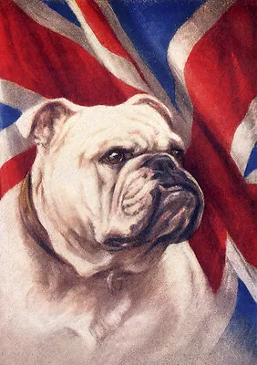 Bulldog With Union Jack Flag Print Greetings Note Card • £2.50