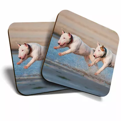 £4.99 • Buy 2 X Coasters - English Bull Terrier Dogs Home Gift #3255