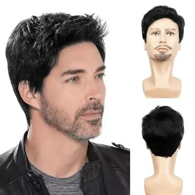 Wig Short Black Male Straight Synthetic Wig Men Hair Fleeciness Realistic Wigs • $13.62
