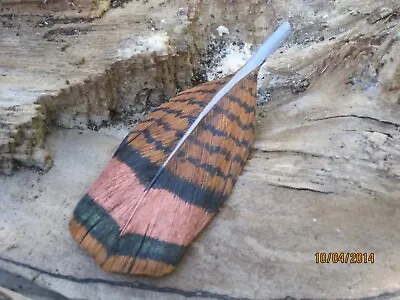 Wooden Carved And Painted Turkey Feather Pin By Robert Lis Master Carver • $35