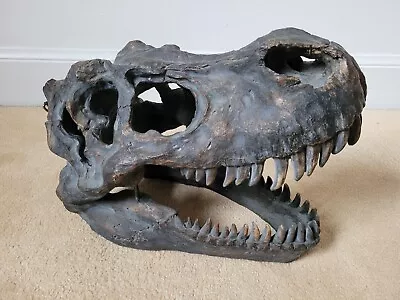 Extra Large Tyrannosaurus T-Rex Skull Resin Fossil Dinosaur - 51.5cm Long • £99