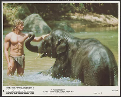 SEXY BARECHESTED MILES O’KEEFFE ELEPHANT Tarzan The Ape Man ‘81 • $42.99