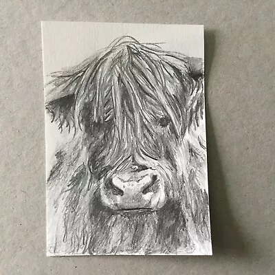 ACEO Highland Cow Pencil Drawing Original Not Print Signed • £4.35