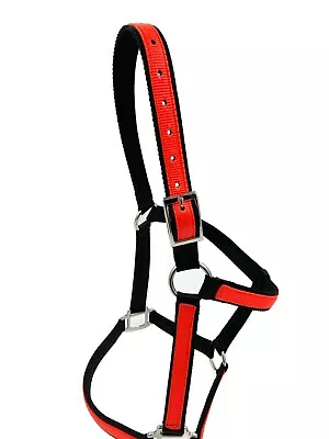 All Sizes Horse Halter Foal To Draft Size 3 Ply Handmade Carter Pet Supply • $21.95