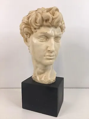 Vintage Mid-20th Century Italian A. Santini Signed David Bust Sculpture 13  • $95