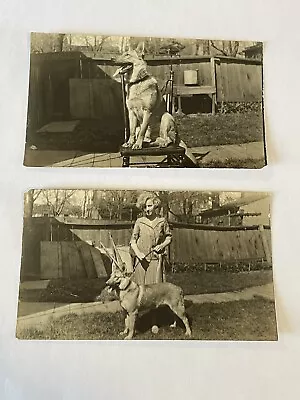 Antique German Shepherd Photo Lot 1923 Woman Holding Leash Dog Laddie Boy 1920’s • $10.99