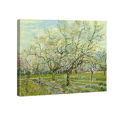 Canvas Print Van Gogh Painting Repro Wall Art Picture Home Decor Trees Poster • $4.99