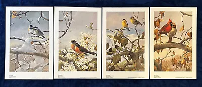  The Seasons  Set Of 4 Prints By Mario Fernandez Birds Winter Spring Summer Fall • $110