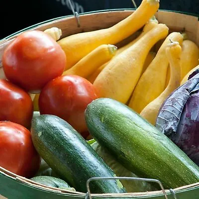 Heirloom 1.99 Vegetable Garden Seeds 250 Varieties Part 2 Combined Shipping .99 • $1.99