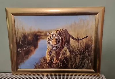 Vintage Leonard Pearman  Tiger In Indian Sundarbans  Large Glass  Framed Print • $68.50