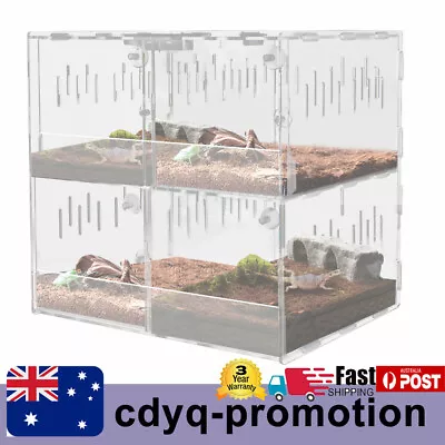 Acrylic Reptile Enclosure Tank Climbing Pet Breeding Box Spider Lizard Terrarium • $37.05