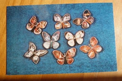 $1 • Buy Advertising, Bavarian Filigree Butterflies, Molly Malones Ridgewood NJ Postcard