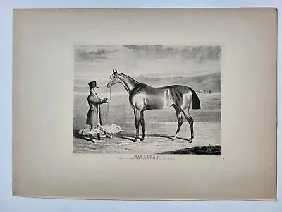 Vintage Antique Print 1887 Portraits Famous Racehorses Mameluke Foaled 1824 • $19.91