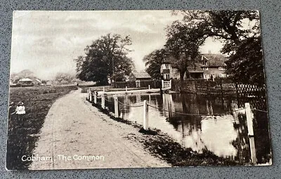 Cobham The Common Surrey Post Card 1925 • £5