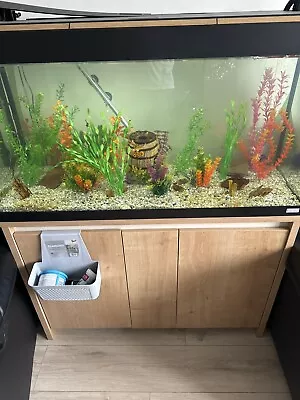 200Litre Fish Tank Cabinet For Sale Offers Accepted • £300