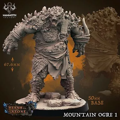 Mountain Ogre 1 | Flesh To Stone | Fantasy Miniature | Mammoth Factory • £14.99