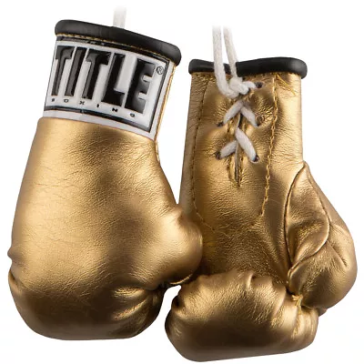 Title Boxing 3.5  Authentic Detailed Mini Lace Up Gloves • $13.75