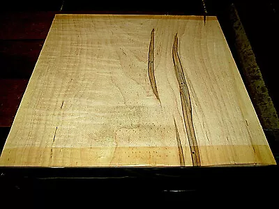 Kiln Dried Maple Bowl Blank Lumber Wood Turning 16  X 16  X 3  • $109.95