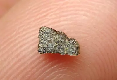 NWA 8552 Enstatite EL6 Chondrite Meteorite - G562-0076 - W/COA - Rare Part Slice • $1.95