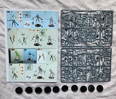 Warhammer 40k Tau Empire Kroot Hunting Pack Carnivore   (x10) 2024 Release *NOS* • $27.95