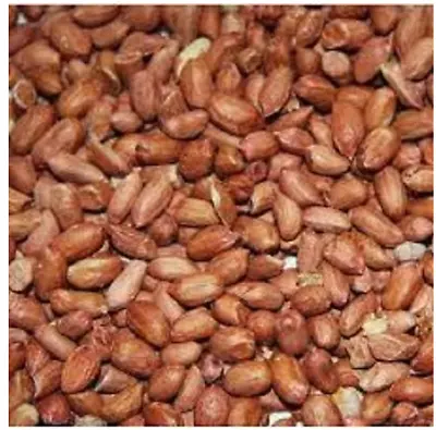 £12.99 • Buy PEANUTS WILD BIRD 5kg PREMIUM FOOD SAFE FRESH NUTS BY MALTBYS' STORES 1904 LTD. 