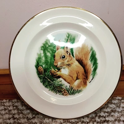 £4 • Buy Royal Worcester Palissy Red Squirrel Plate