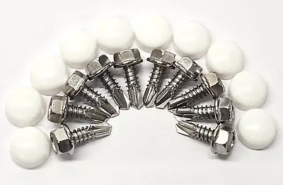 (10) Lund Cab Sun Moon Visor Mounting Hardware Stainless Screws & White Caps • $12.95