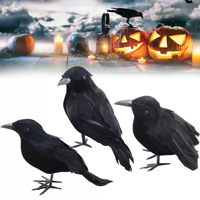 3/6Pcs Black Lifesize Raven Movie Prop Fake Crow Halloween Hunting Decor Birds • £7.98