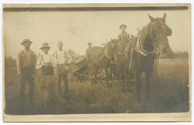 Early Sepia Colored AZO Real Photo Postcard Horse Or Mule Drawn Plough & Farmers • $19.99