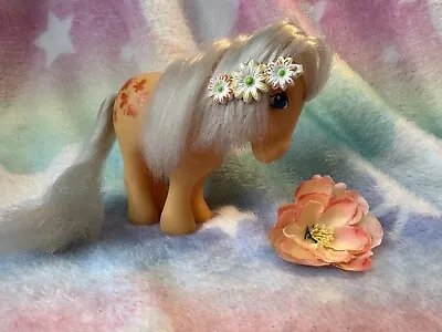 My Little Pony Vintage Italian Italy Butterscotch White Hair • $30