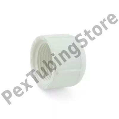 3/4  PVC (Sch. 40) FIP Cap • $0.99