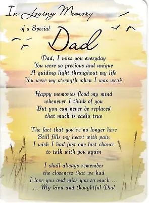 In Loving Memory Of A Special Dad Plastic Memorial Grave Card • £2.59