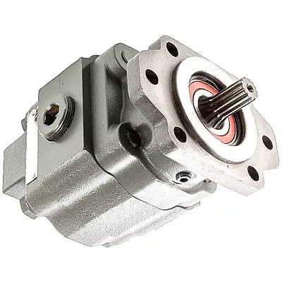 P51 (L/PL) SERIES PTO PUMP 19 GPM - 7/8  13 SPLINE SHAFT To Match PL1-19-02-BSBB • $670.99