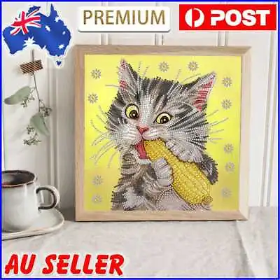 $10.27 • Buy 5D DIY Partial Special Shaped Drill Diamond Painting Cat Kit Home Decoration AU