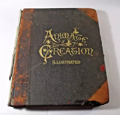 1898 ANIMATE CREATION Antique Volume II MAMMALS Rev J.G. Wood • $25