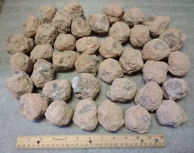 Bulk Wholesale 15 Lbs Mine Run Sonora Crystal Geodes & Nodules 2-2.25  Diameter • $49.95